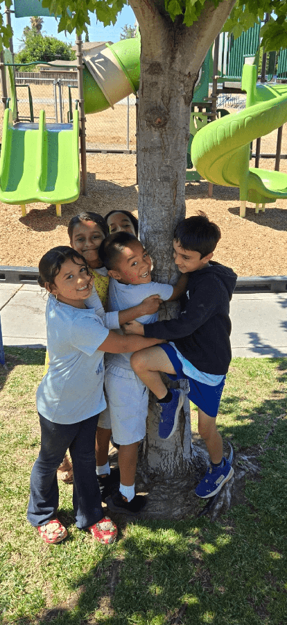 Summer Camp photo