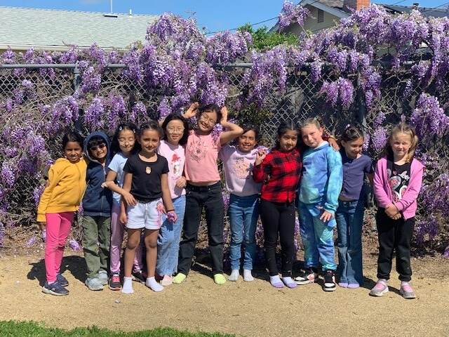School Age Programming photo