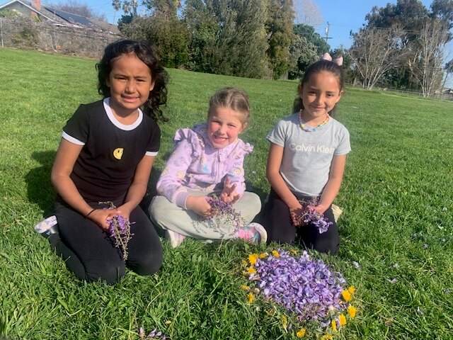 School Age Programming photo